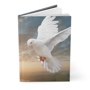 Journals & Notebooks